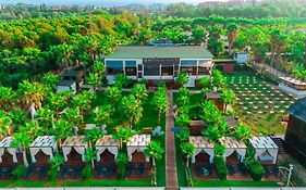 Sunthalia Hotels & Resorts Ultra All Inclusive Adults Only Party Hotel  5*